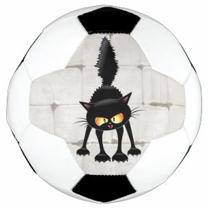 Grappige Felle Zwarte Kat Cartoon Voetbal
