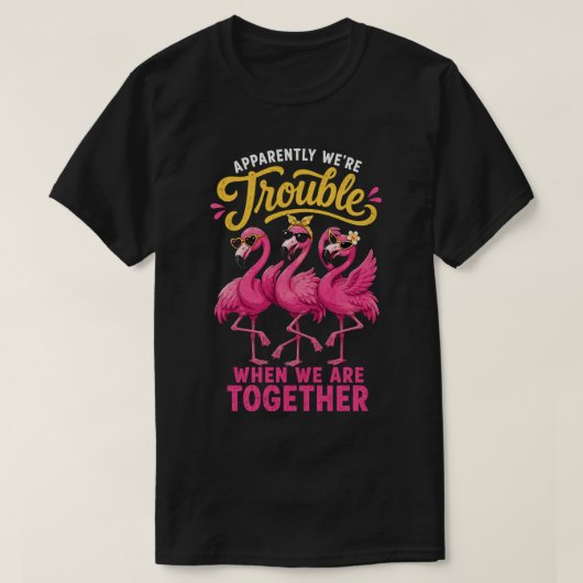 Grappige Flamingo Beste Vriendinnen Problemen T-shirt (Design voorkant)