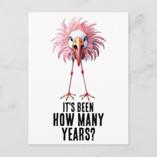 Grappige Flamingo Groepering Schokkend Briefkaart
