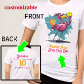 Grappige Flamingo Pickleball Tri-Blend Shirt