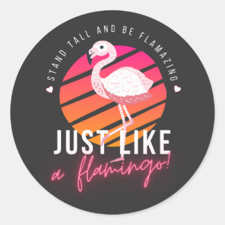 Grappige Flamingo T-shirts Ronde Sticker