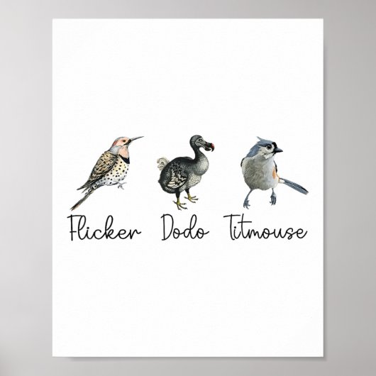 Grappige Flicker Dodo Titmouse Poster (Voorkant)