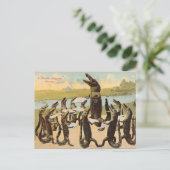 Grappige Florida Gator-kooransichtkaart Briefkaart (Staand voorkant)