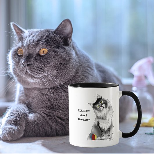 Grappige Fluffy Maine Coon Kat Groene Humor Mok