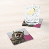 Grappige foto Cat Lover Kartonnen Onderzetters (Insitu)