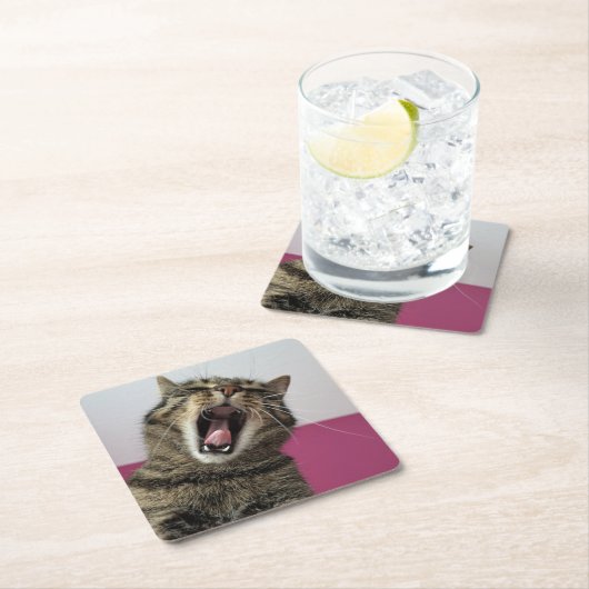 Grappige foto Cat Lover Kartonnen Onderzetters (Insitu)