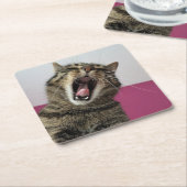 Grappige foto Cat Lover Kartonnen Onderzetters (Schuin)