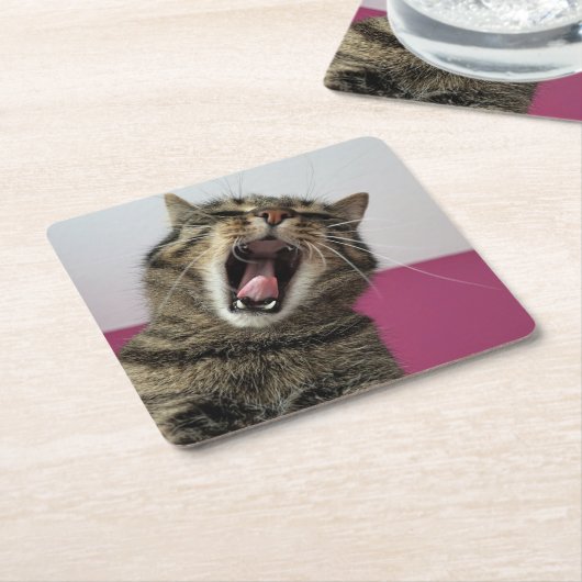 Grappige foto Cat Lover Kartonnen Onderzetters (Schuin)