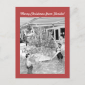 Grappige foto Florida Christmas Briefkaart (Voorkant)