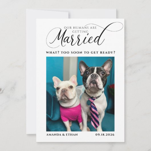 Grappige foto Hond-thema bruiloft Save The Date (Voorkant)