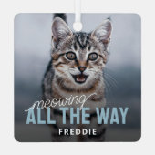 Grappige foto Huisdier Kat Kerstmis Metalen Ornament (Achterkant)