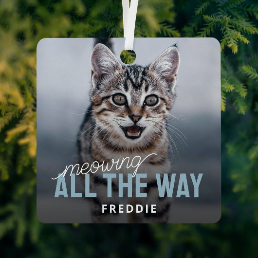 Grappige foto Huisdier Kat Kerstmis Metalen Ornament