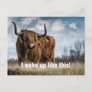 Grappige foto van Highland-koe met 'Ik werd zo wak Briefkaart
