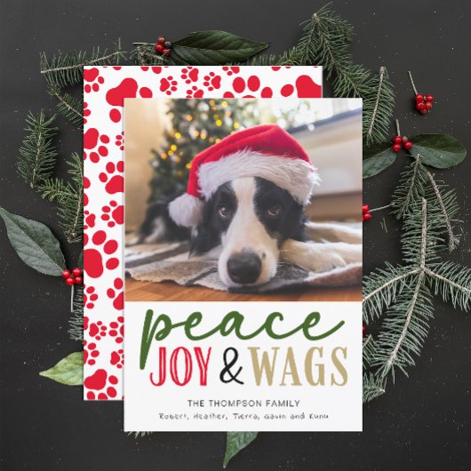 Grappige foto van hondenliefhebber met Kerstmis, A Feestdagenkaart