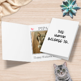 Grappige foto van kat Deze mens is van mij Kaart