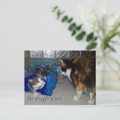 Grappige foto van twee katten "een echte strijd" briefkaart (Staand voorkant)