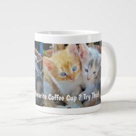 Grappige foto van twee schattige katjes grote koffiekop