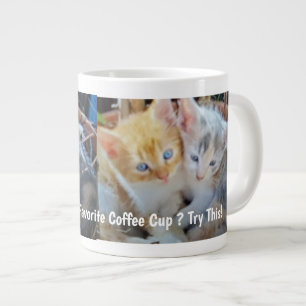 Grappige foto van twee schattige katjes grote koffiekop