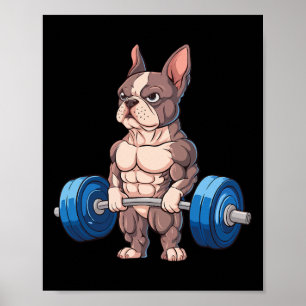 Grappige Franse Bulldog Gewichtheffen Bodybuilding Poster