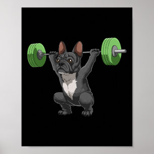 Grappige Franse Bulldog Gewichtheffen En Lichaamss Poster