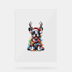 Grappige Franse Bulldog Kerstlicht Santa Hat Rei Acryl Bord