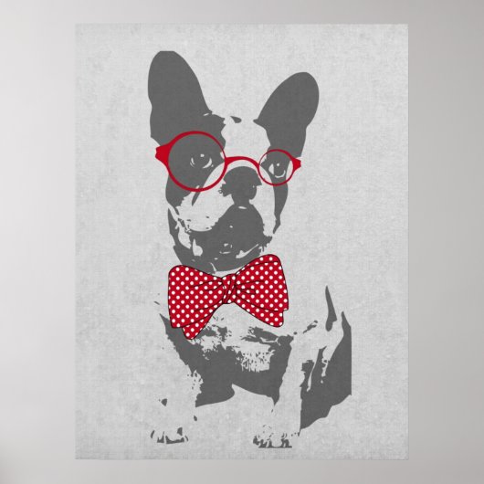 Grappige Franse Bulldog Poster (Voorkant)