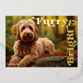 Grappige Furry & Bright Dog Pet Kerst Modern Folie Feestdagenkaart (Voorkant)