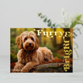 Grappige Furry & Bright Dog Pet Kerst Modern Folie Feestdagenkaart (Staand Voorkant)