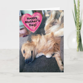 Grappige Furry Golden Retriever Moederdag Kaart