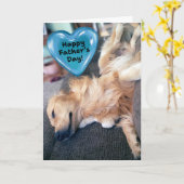 Grappige Furry Golden Retriever Vaderdag Kaart (Gele Bloem)