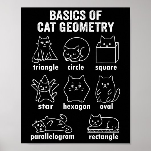 Grappige fysica van katmeetkunde terug naar school poster (Voorkant)