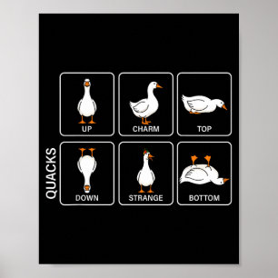Grappige fysica woordgrap eend kwaakt meme schatte poster