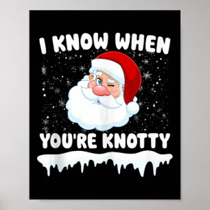 Grappige Fysiotherapeut Kerst PT Therapeut Xm Poster