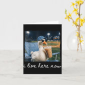 Grappige Gans Eend Woont Hier Honkbalveld Meme Kaart (Gele Bloem)