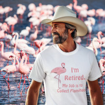 Grappige gazonflamingo-pensioen
