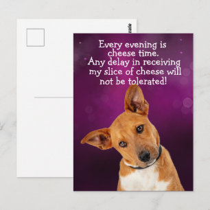 Grappige gedachte van een hond briefkaart