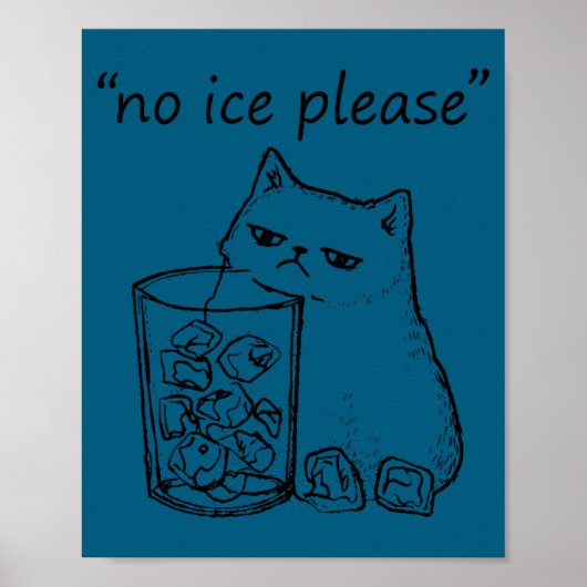 Grappige Geen Ijs Alsjeblieft Kat Meme Poster (Voorkant)