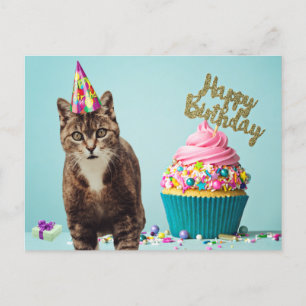 Grappige Gefeliciteerd Verjaardag Kat met Cupcake Briefkaart