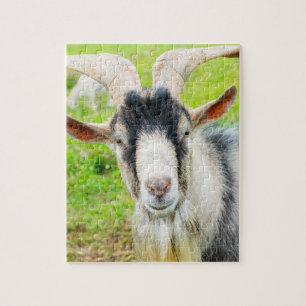 Grappige GEIT 2027 Nieuwjaarsfoto Legpuzzel