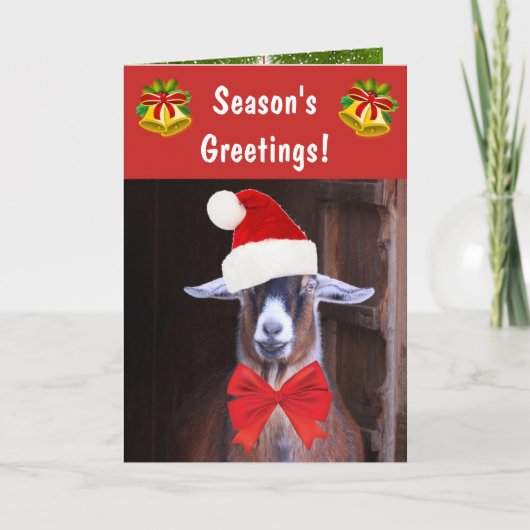 Grappige geiten kerstgroet feestdagen kaart (Voorkant)