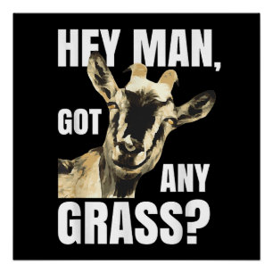 Grappige Geiten Puns Boerderij Dier Meme Cadeau vo Perfect Poster