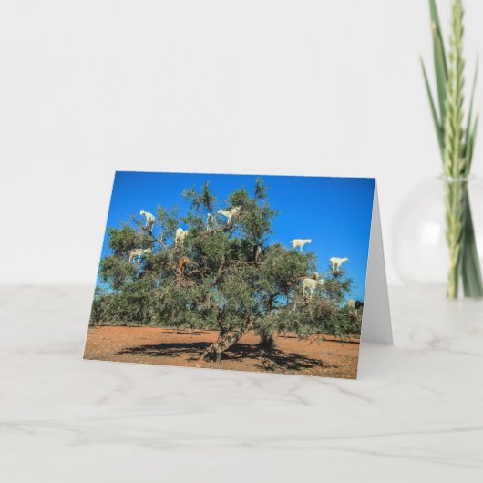 Grappige geitjes in bomen kaart (Voorkant)