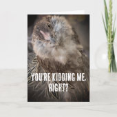 Grappige gekantelde hoofd kip close-up foto kaart (Voorkant)