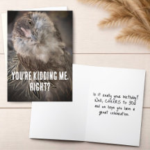 Grappige gekantelde hoofd kip close-up foto