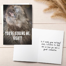 Grappige gekantelde hoofd kip close-up foto kaart