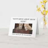 Grappige Gekke Kat Dame Cat Lover Birthday Card Kaart (Gele Bloem)