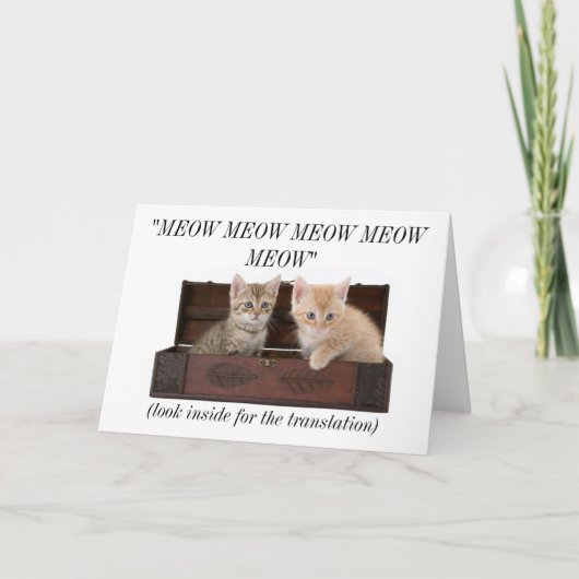 Grappige Gekke Kat Dame Cat Lover Birthday Card Kaart (Voorkant)