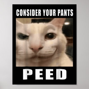 Grappige Gekke kattenmemes van 919 Design beschouw Poster
