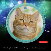 Grappige gele kat bezoekt kerstman met hilarische  keramisch ornament