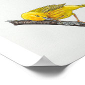Grappige gele Warbler Art Print (Hoek)